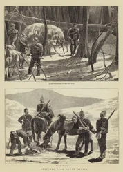 南アフリカからのスケッチ